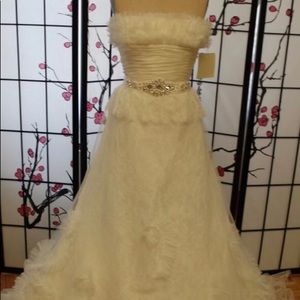 Pronovias Manuel Mota Wedding Dress